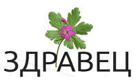 ЗДРАВЕЦ